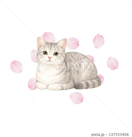 桜の花びらと猫の水彩イラスト 春のかわいい猫素材のイラスト素材
