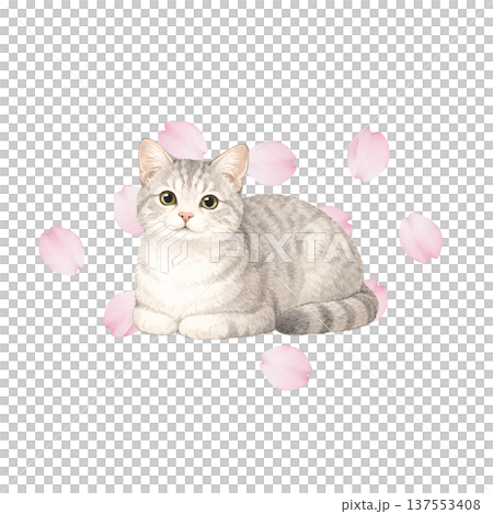Watercolor illustration of cherry blossom petals and cats. Cute spring cat material. Watercolor illustration of cherry blossom petals and cats. Cute spring cat material. 137553408