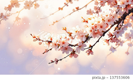 さくらのイラストデザイン 137553606