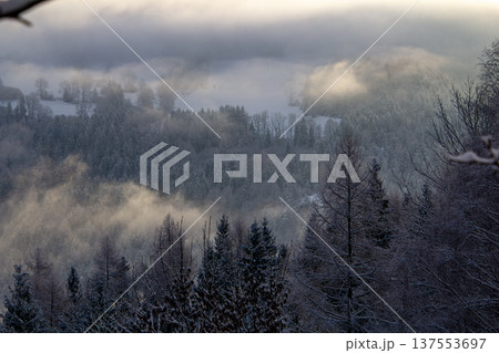 Looking out over the valley during sunrise 137553697