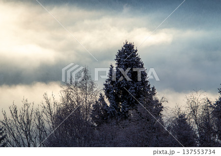 Sunrise makes a breakthrough in the mist between the mountains Sunrise makes a breakthrough in the mist between the mountains 137553734