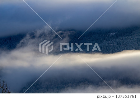 Looking out over the meadow to the valley 137553761