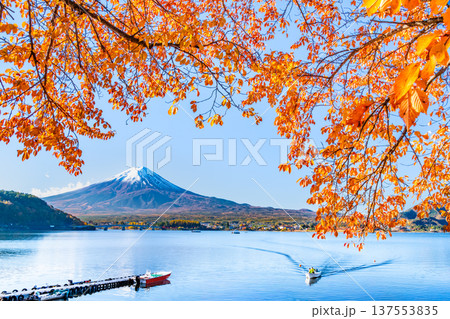 河口湖畔の紅葉と富士山 137553835
