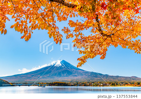 河口湖畔の紅葉と富士山 河口湖畔の紅葉と富士山 137553844