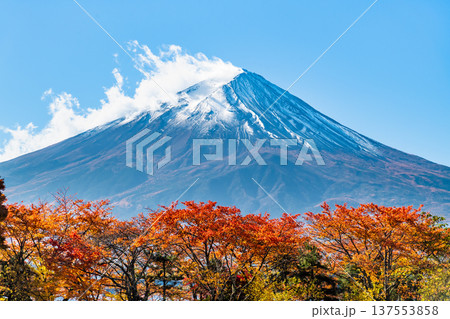 河口湖畔の紅葉と富士山 137553858