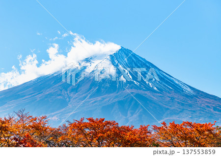 河口湖畔の紅葉と富士山 137553859
