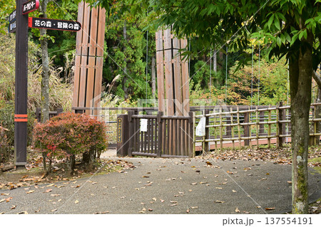 あいかわ公園森のわたり橋 137554191