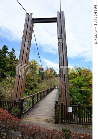 あいかわ公園森のわたり橋 あいかわ公園森のわたり橋 137554194