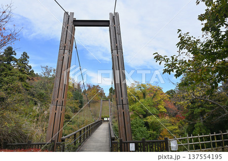 あいかわ公園森のわたり橋 137554195