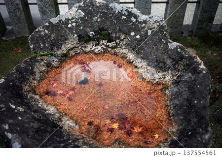 寺院の手水鉢と落ち葉 137554561