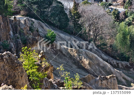 徳島県阿波市「阿波の土柱」 137555099