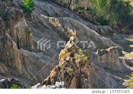 徳島県阿波市「阿波の土柱」 137555103