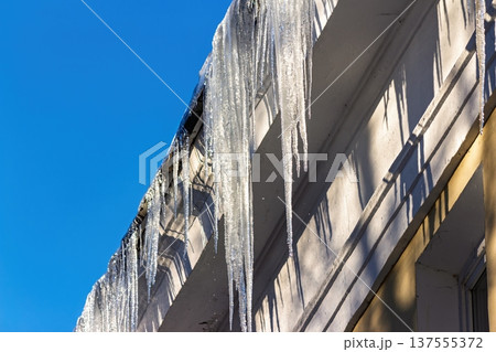 Glittering icicles dangle from a building cornice against a brilliant azure sky, suggesting a thaw during late winter or early spring  137555372