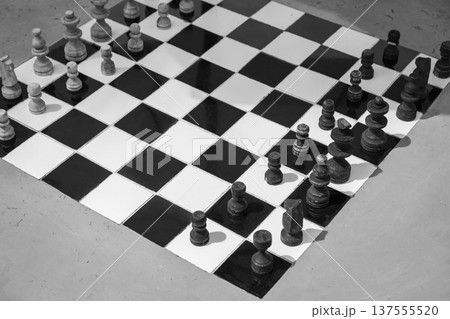 Chess pieces stand ready for a match on the board 137555520