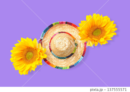 Sunflower sombrero ready for Cinco de Mayo Sunflower sombrero ready for Cinco de Mayo 137555571