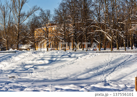 Sunny winter park scene with snow-covered ground and bare trees partially obscuring a distant yellow building facade Sunny winter park scene with snow-covered ground and bare trees partially obscuring a distant yellow building facade 137556101