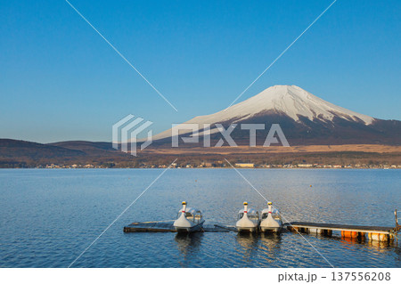 春の早朝　山中湖畔から見た冠雪の富士山 137556208