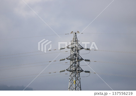 曇天にそびえる送電鉄塔の構造 137556219