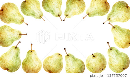 水彩で描いた洋梨のイラストフレーム 137557007