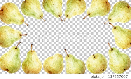 水彩で描いた洋梨のイラストフレーム 137557007