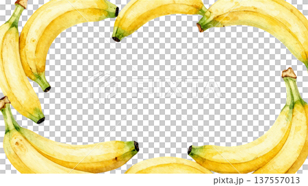 香蕉框材質的明亮水彩插圖 137557013