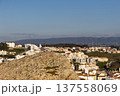 Seagull Perched on Summit Overlooking Scenic Coastal City at Dusk 137558069