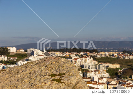 Seagull Perched on Summit Overlooking Scenic Coastal City at Dusk 137558069