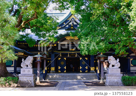 東京都　新宿区　穴八幡宮　（あなはちまんぐう）　拝殿 137558123