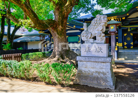 東京都 新宿区 穴八幡宮 (あなはちまんぐう) 拝殿 東京都 新宿区 穴八幡宮 (あなはちまんぐう) 拝殿 137558126