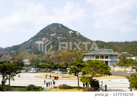 韓国　ソウル 137558250
