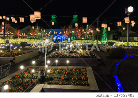 なばなの里 河津桜と梅林ライトアップ&イルミネーション なばなの里 河津桜と梅林ライトアップ&イルミネーション 137558405