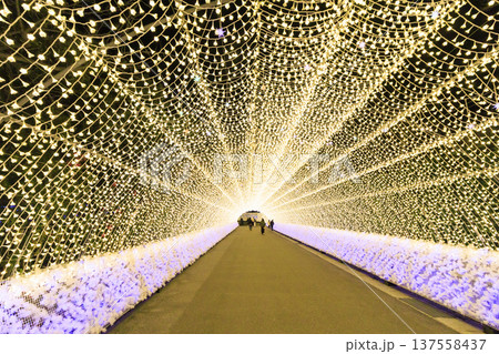 なばなの里 河津桜と梅林ライトアップ&イルミネーション なばなの里 河津桜と梅林ライトアップ&イルミネーション 137558437