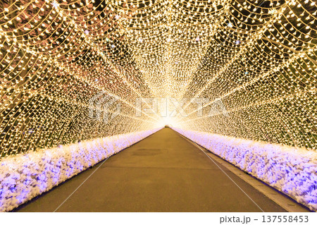 なばなの里 河津桜と梅林ライトアップ&イルミネーション なばなの里 河津桜と梅林ライトアップ&イルミネーション 137558453