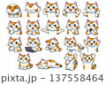 いろいろな猫のイラストセット 137558464