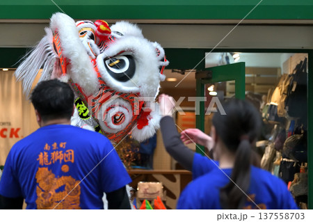 獅子舞　南京町の春節祭　獅子舞彩青「祝儀とリ」 137558703