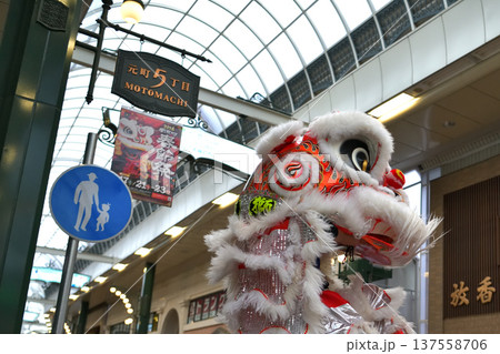 獅子舞　南京町の春節祭　獅子舞彩青「祝儀とリ」 137558706