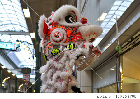 獅子舞　南京町の春節祭　獅子舞彩青「祝儀とリ」 137558709