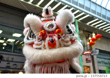 獅子舞 南京町の春節祭 獅子舞彩青「祝儀とリ」 獅子舞 南京町の春節祭 獅子舞彩青「祝儀とリ」 137558723