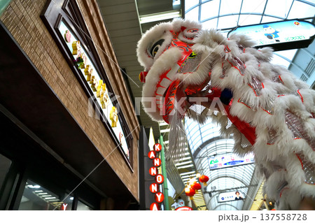 獅子舞　南京町の春節祭　獅子舞彩青「祝儀とリ」 137558728