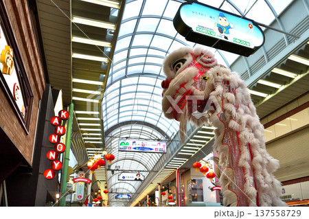 獅子舞　南京町の春節祭　獅子舞彩青「祝儀とリ」 137558729