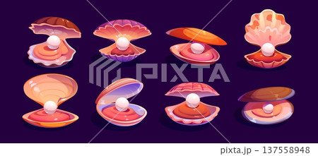 Cartoon pearl sea shell, underwater oyster and scallop seashells with treasure inside. Vector open shells of salt water mollusks and freshwater shellfish with pearls. Oyster, scallop or clam seashells 137558948