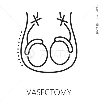 Vasectomy contraception method line icon or label. Birth control technique thin line vector symbol, family planning and contraception method sign. Pregnancy prevention icon with testicles cut tubes 137558968