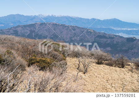 箱根駒ヶ岳山頂からの絶景 137559201