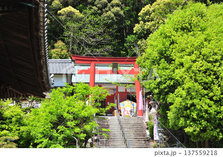 粉河産土神社 【和歌山県紀の川市粉河】 粉河産土神社 【和歌山県紀の川市粉河】 137559218