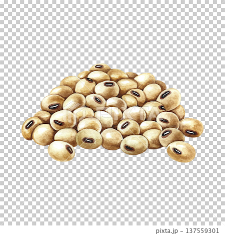 A pile of soybeans. Hand-drawn watercolor illustration. Isolate. Perfect for creating product labels, posters, banners, menus, and more. A pile of soybeans. Hand-drawn watercolor illustration. Isolate. Perfect for creating product labels, posters, banners, menus, and more. 137559301
