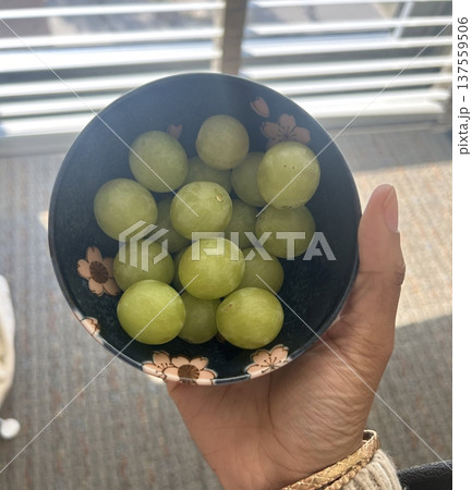 Fresh Shine Muscat grapes, known for their crisp texture and sweet, refreshing taste. Perfect for showcasing premium fruit, ideal for food photography, healthy eating concepts, and gourmet projects. Fresh Shine Muscat grapes, known for their crisp texture and sweet, refreshing taste. Perfect for showcasing premium fruit, ideal for food photography, healthy eating concepts, and gourmet projects. 137559506