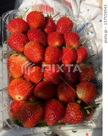 Fresh, juicy strawberries with a vibrant red color and sweet, slightly tangy flavor. Perfect for snacking, adding to desserts, smoothies, or salads, they bring a burst of natural sweetness to any dish 137559543