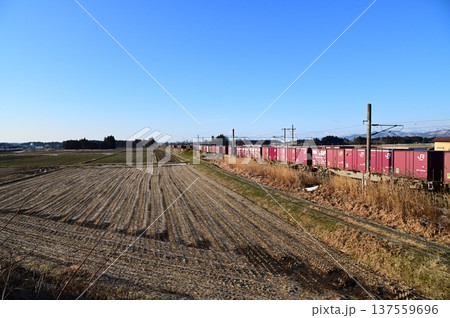 朝の東北本線 貨物列車 137559696