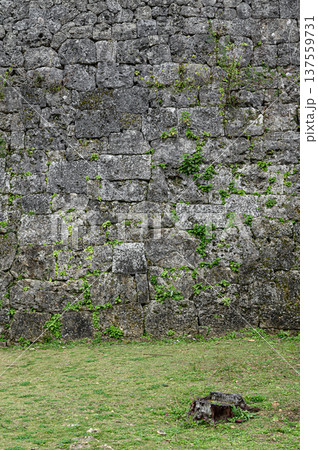 中城城跡の城壁 琉球王国の古城 中城城跡の城壁 琉球王国の古城 137559731
