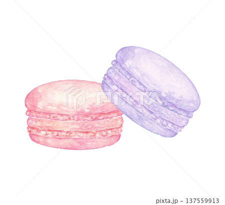 カラフルなマカロンのイラスト　水彩 137559913